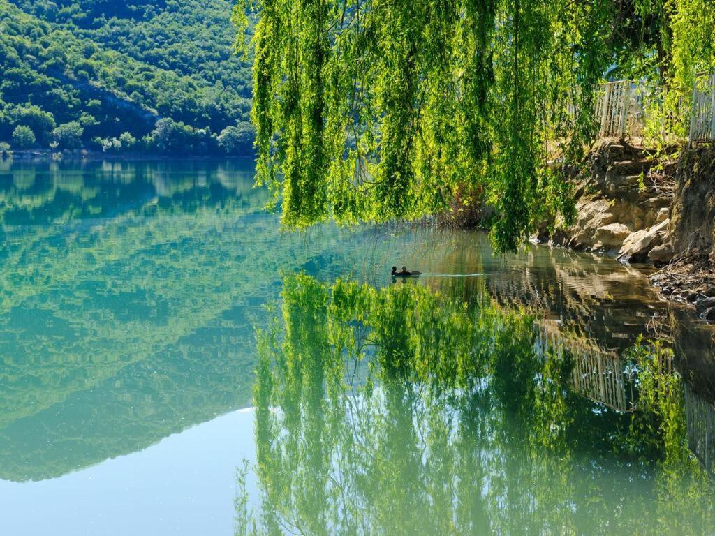 Tassido Coda Resort スカンノ エクステリア 写真